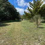 Ricciano *