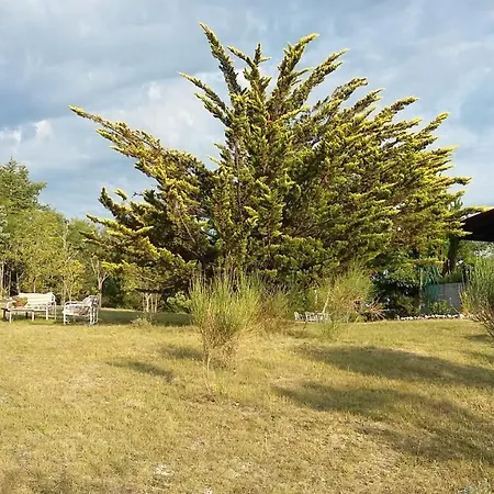 Ricciano 폴리뇨