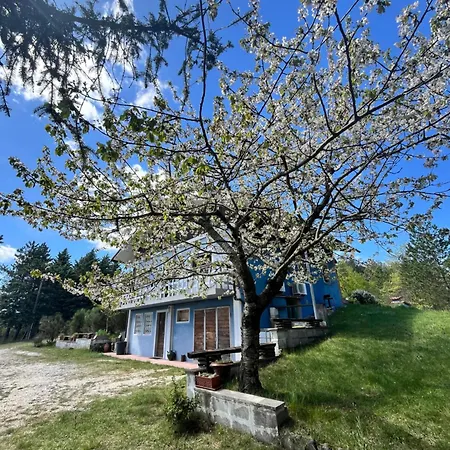Ricciano Tatil Evi
