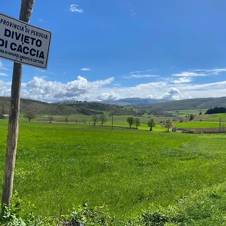 Ricciano Foligno