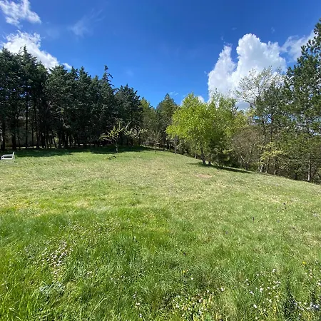 Ricciano Holiday home *