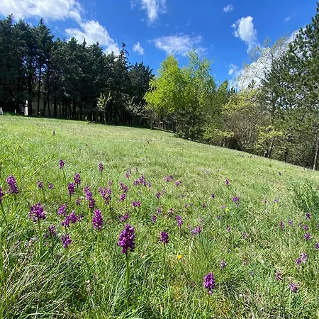 Ricciano Сasa de vacaciones
