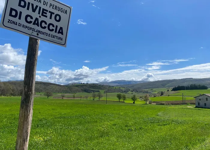 Ricciano Casa de Férias