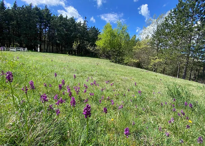 Ricciano Casa de Férias
